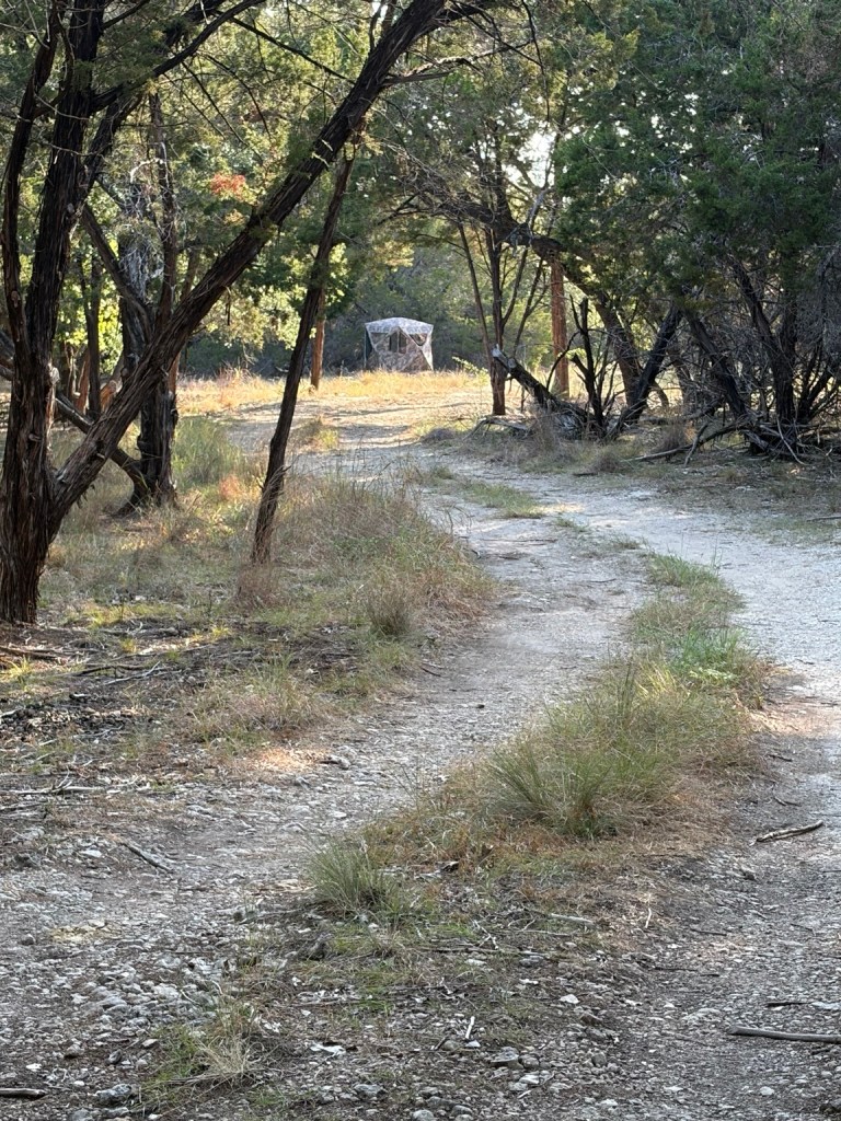 A camouflaged hunting blind at the end of a wooded trail on Michael Vowell's property.
